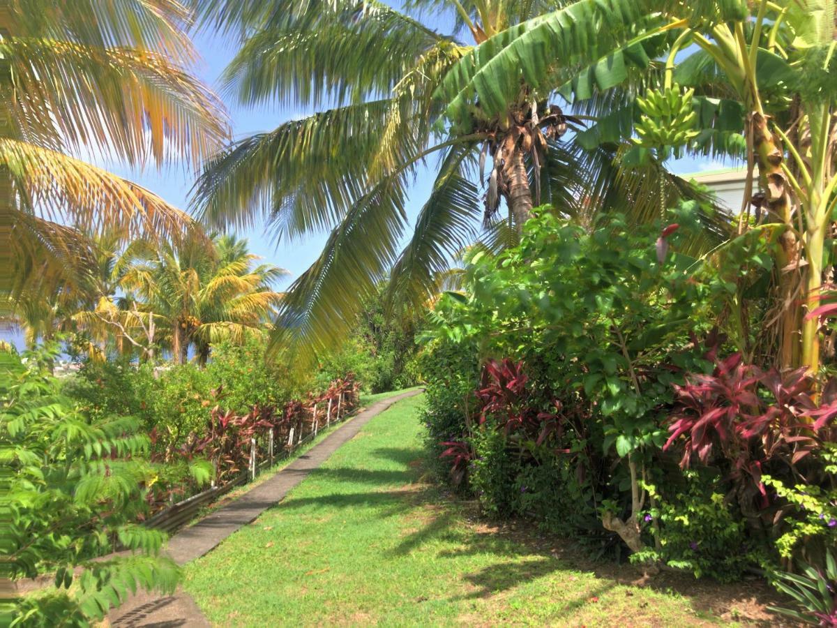 Residence Paradis Tropical Басе Тере Екстериор снимка